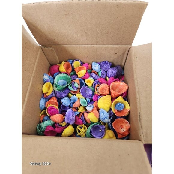 Colorful Assorted Seashells & Starfish Decoration Set - Picture 2 of 5